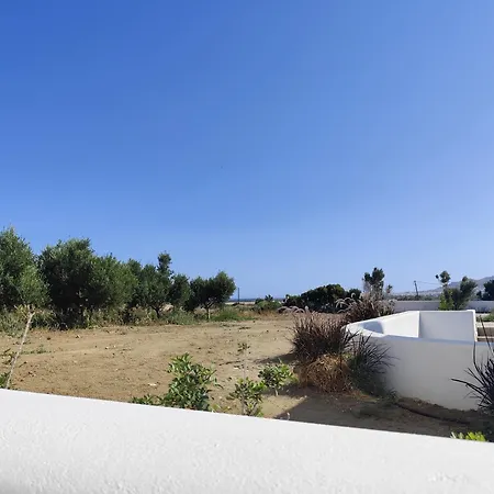 Lemon * Agia Anna (Naxos)